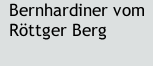 Bernhardiner vom Röttger Berg